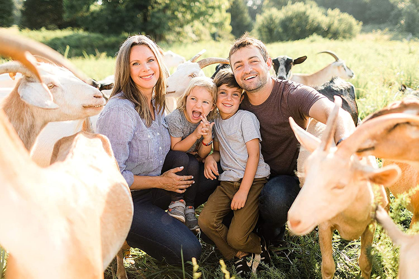 All Natural Deodorant Cream - Activated Charcoal - Aluminum Free Deodorant for Women or Men, Net Wt. 2.4Oz | 68G