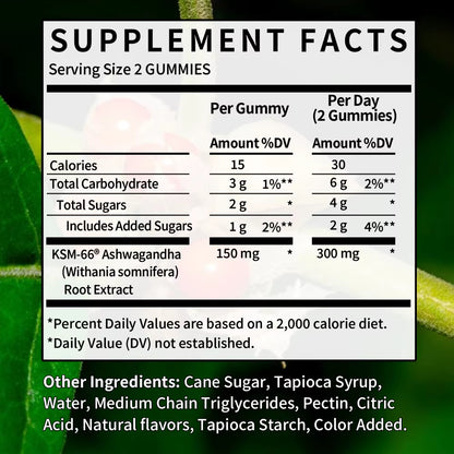 Ashwagandha Gummies - Stress Relief, Energy & Mood Support, Immune Health, Sleep Support