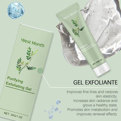 Purifying Exfoliating Gel Cleanser